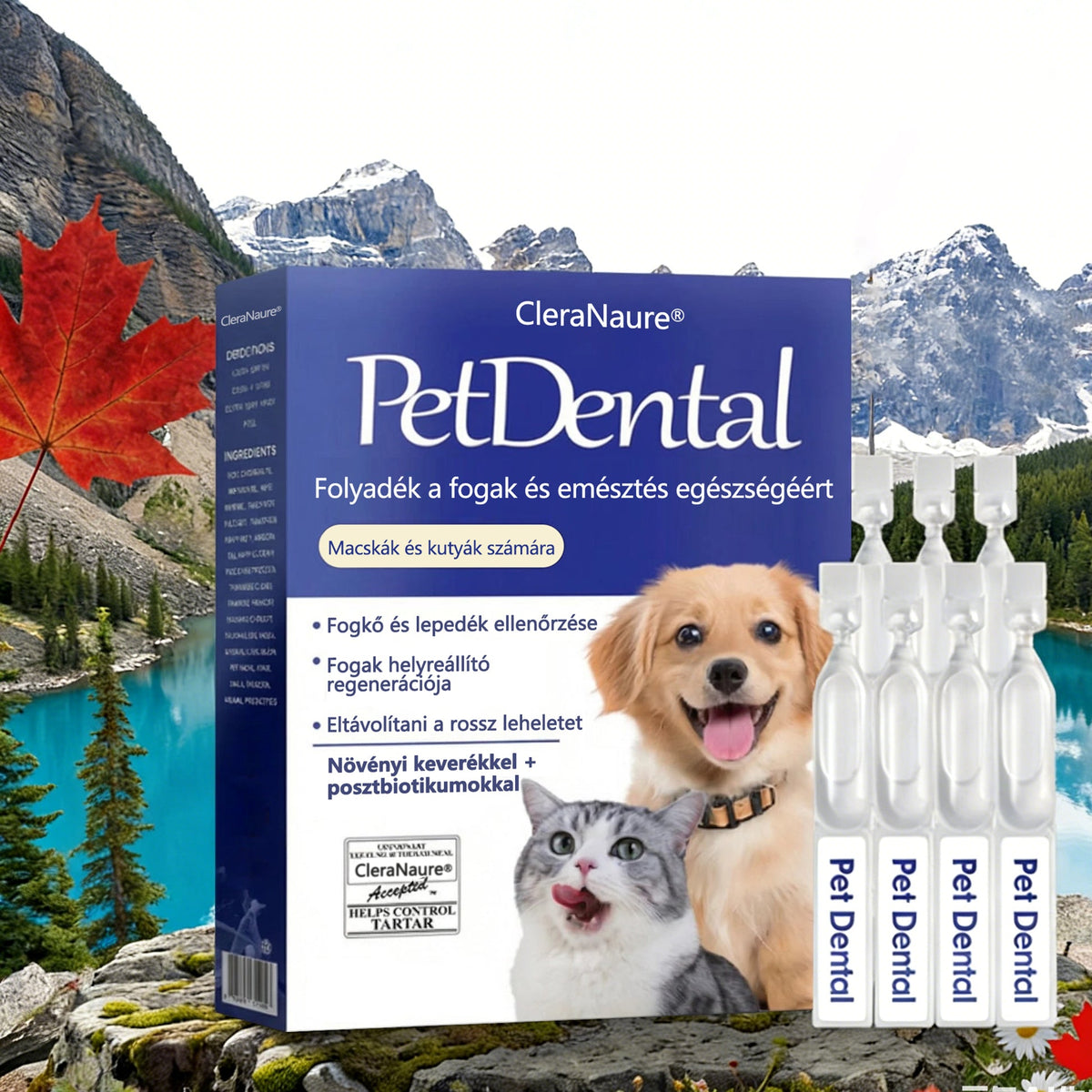 🛡️[Hivatalos áruház] CleraNaure® Pet Dental & Digestive Health Oral Liquid – Frissíti a leheletet, eltávolítja a fogkövet, elősegíti az íny regenerálódását és stabilizálja a fogakat (macskák és kutyák számára) – Ma 80% kedvezménnyel!