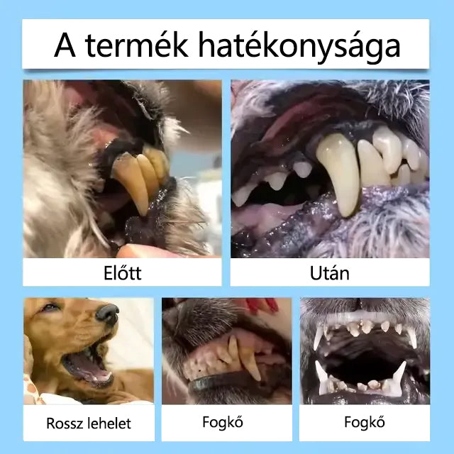 🛡️[Hivatalos áruház] CleraNaure® Pet Dental & Digestive Health Oral Liquid – Frissíti a leheletet, eltávolítja a fogkövet, elősegíti az íny regenerálódását és stabilizálja a fogakat (macskák és kutyák számára) – Ma 80% kedvezménnyel!