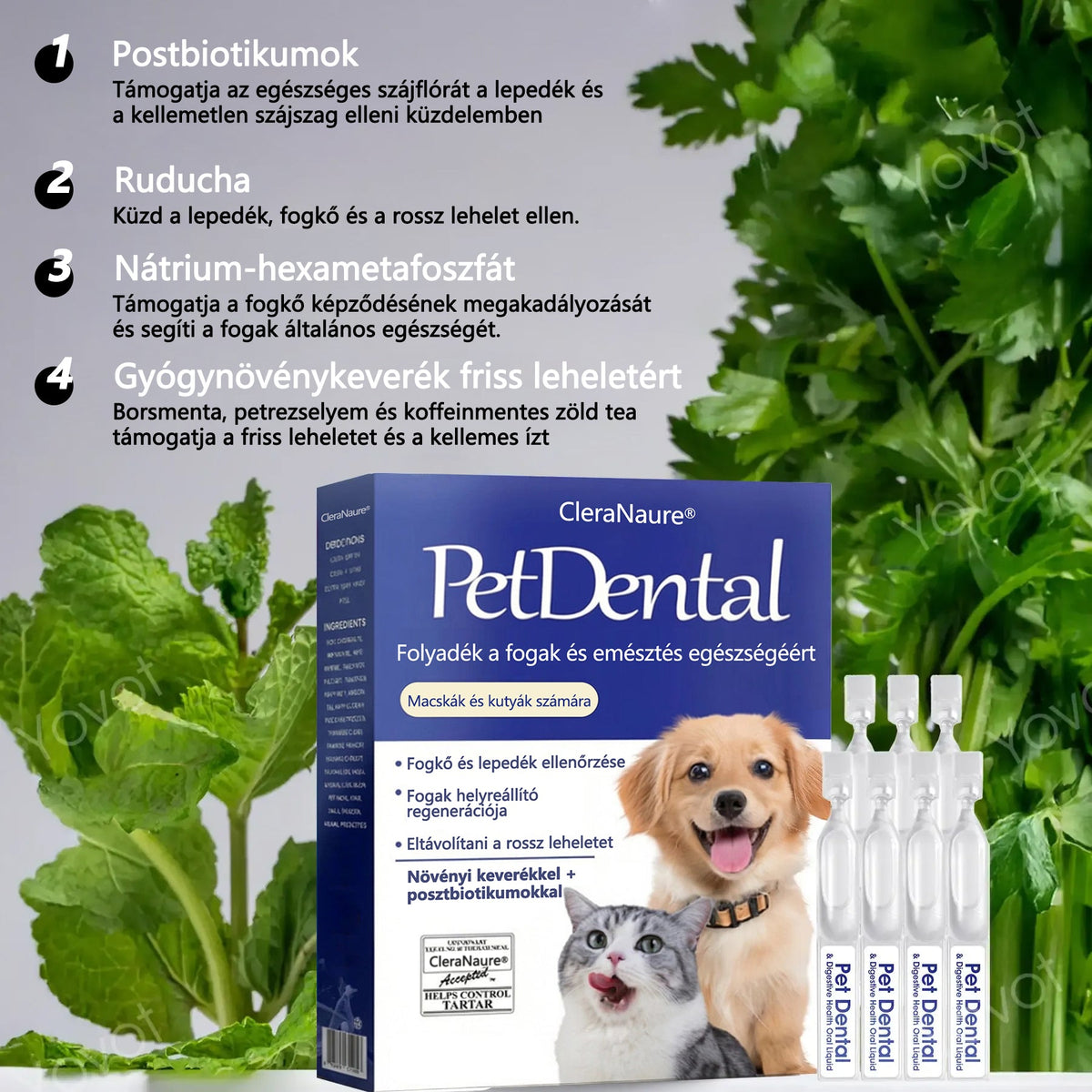 🛡️[Hivatalos áruház] CleraNaure® Pet Dental & Digestive Health Oral Liquid – Frissíti a leheletet, eltávolítja a fogkövet, elősegíti az íny regenerálódását és stabilizálja a fogakat (macskák és kutyák számára) – Ma 80% kedvezménnyel!