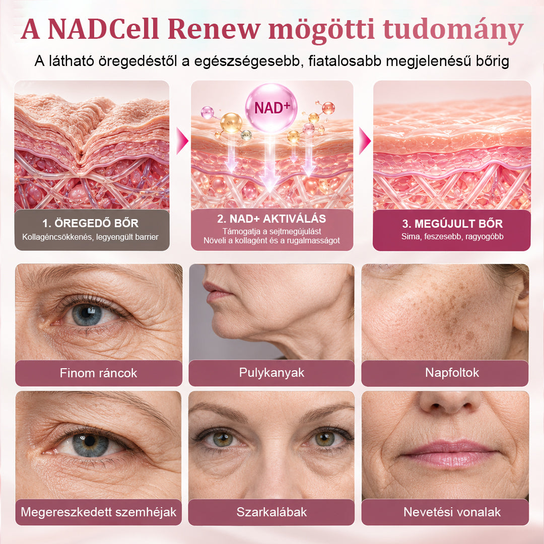 CleraNaure® NADCell Renew – Fejlett NAD+ peptid szérum